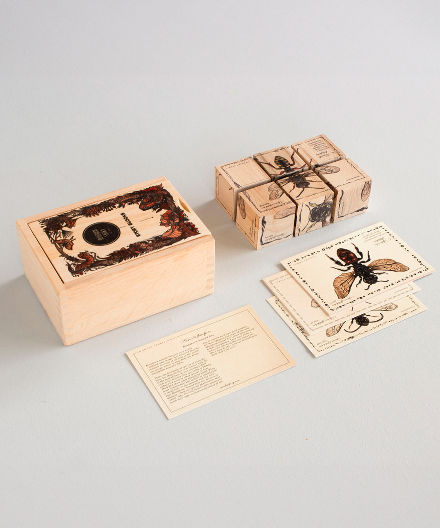 The pieces from the Wooden Story Species of Bees Story Blocks set laid out on a white surface next to the wooden box that they come in. 