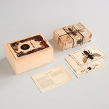 Wooden Story Puzzle Blocks - Bees