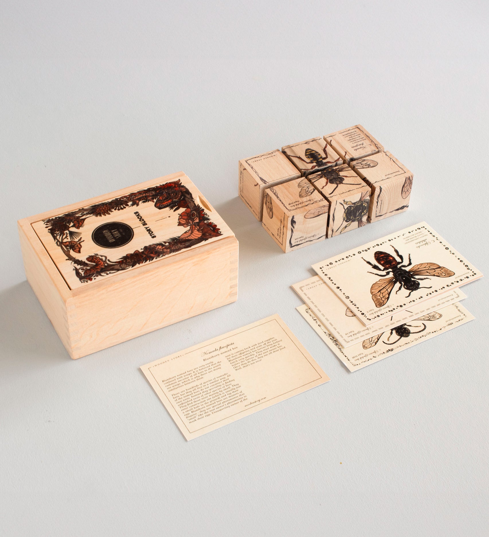 The pieces from the Wooden Story Species of Bees Story Blocks set laid out on a white surface next to the wooden box that they come in. 