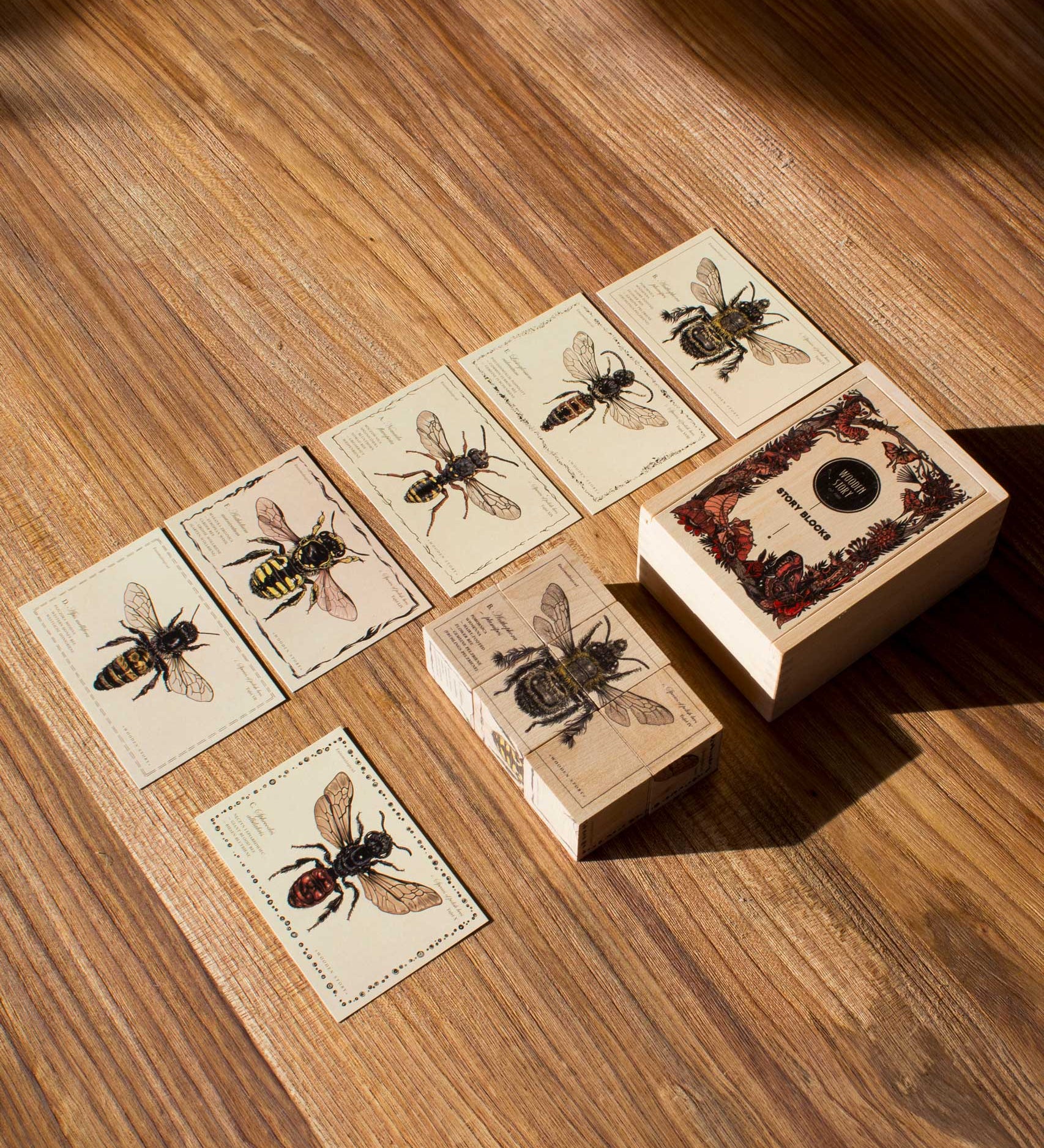 Wooden Story Species of Bees Story Blocks set pictured on a wooden surface. The blocks and cards are laid out next to the wooden box that they come in. 