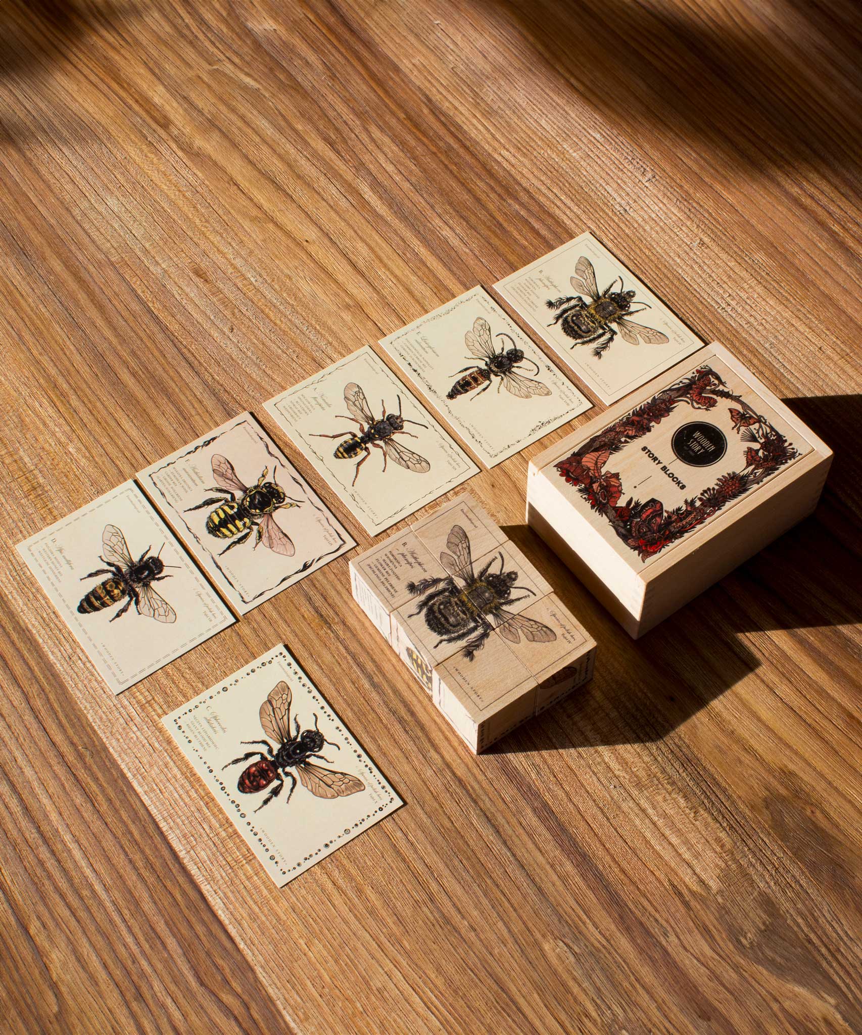 Wooden Story Species of Bees Story Blocks set pictured on a wooden surface. The blocks and cards are laid out next to the wooden box that they come in. 