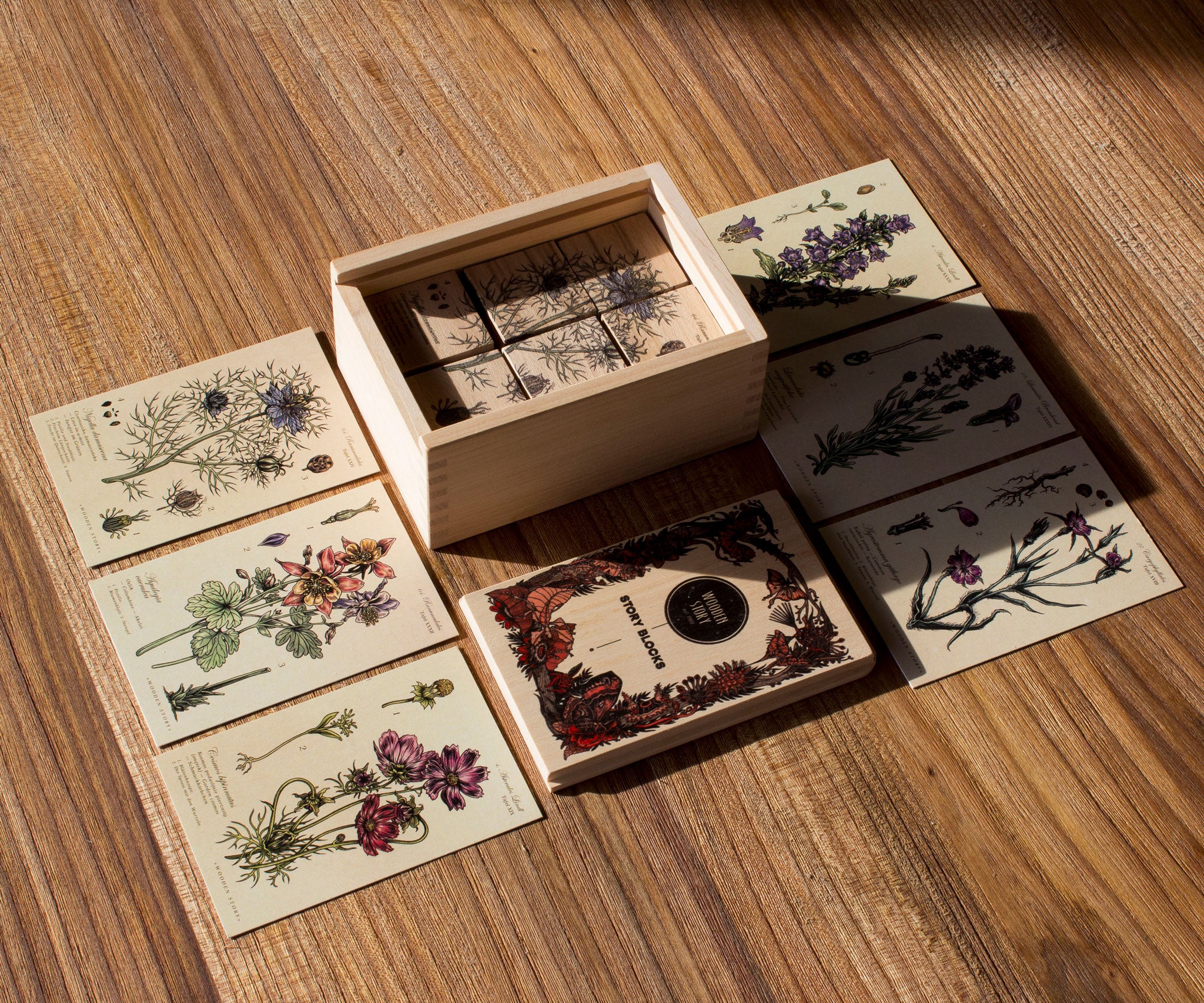 Wooden Story Melliferous Plants Story Blocks Set placed on a wooden surface. The 6 blocks are seen inside the wooden box with the box' lid next to it the 6 cards are placed on the surface outside the box. 