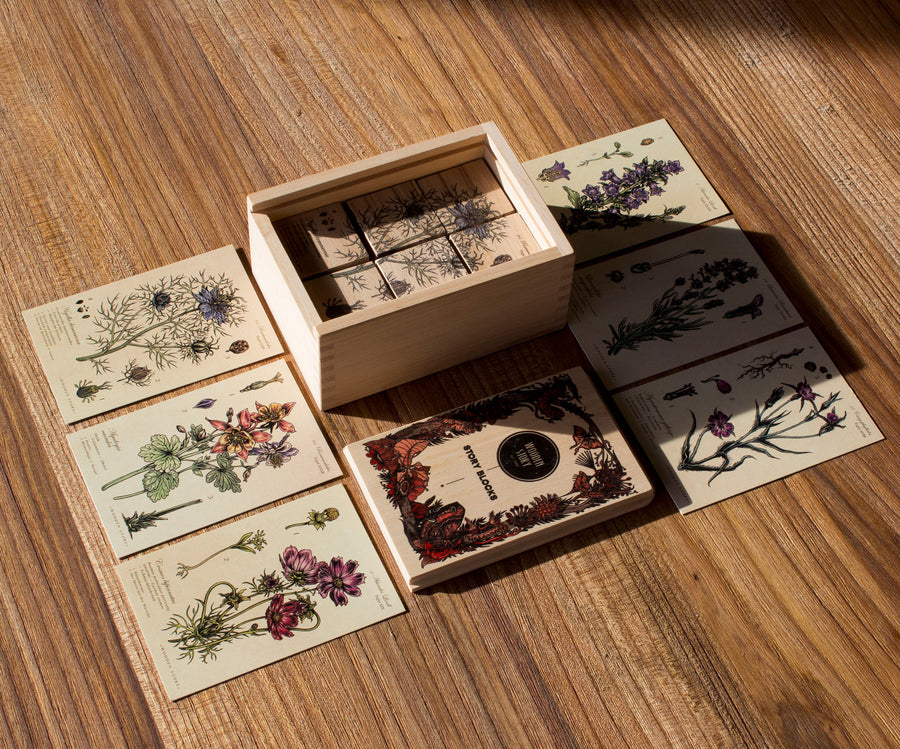 Wooden Story Melliferous Plants Story Blocks Set placed on a wooden surface. The 6 blocks are seen inside the wooden box with the box' lid next to it the 6 cards are placed on the surface outside the box. 