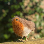 The Makerss - Small Robin Needle Felt Kit